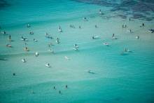 aerial view of surfers in water