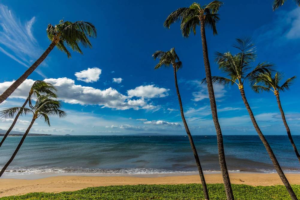 sugar beach in Kihei, Maui